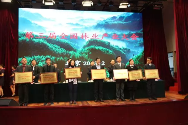 第三屆全國林業(yè)產(chǎn)業(yè)大會在京召開,大亞集團再獲多項殊榮