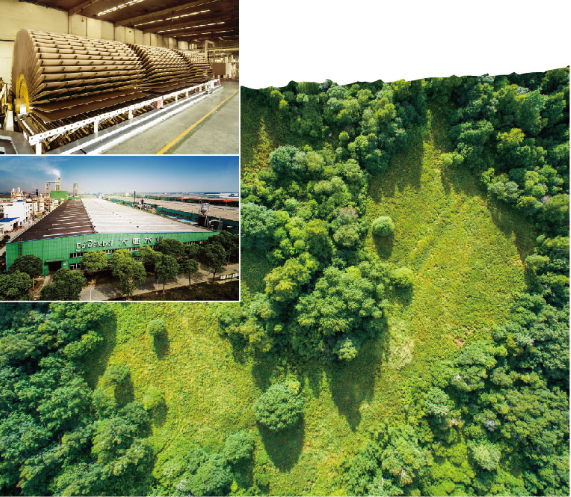 大亞集團堅持綠色產(chǎn)業(yè)戰(zhàn)略 引領行業(yè)健康可持續(xù)發(fā)展